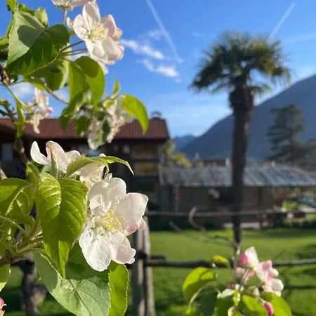Apartment Egghof Im Weingut *