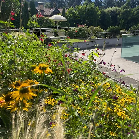 Egghof Im Weingut *